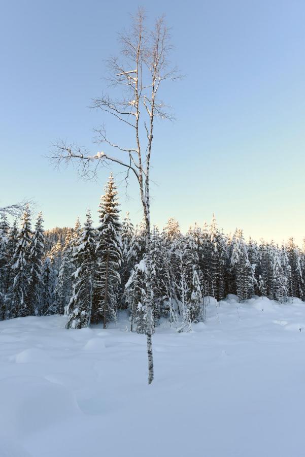 Fresh Familie Hytte Hemsedal Exterior photo