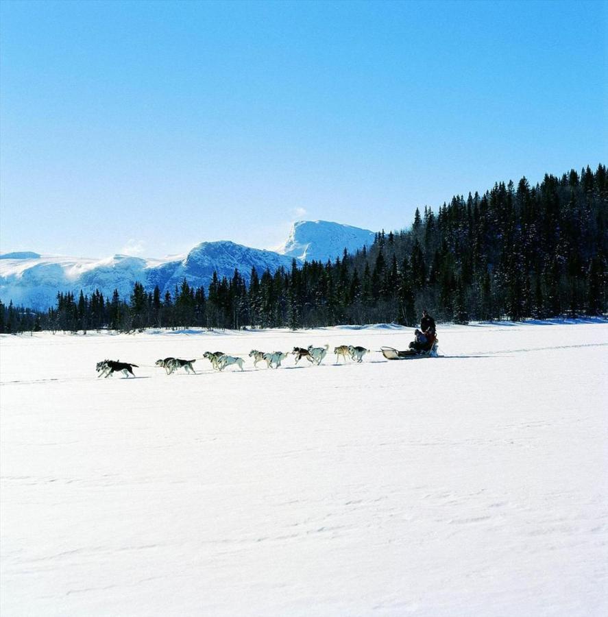 Fresh Familie Hytte Hemsedal Exterior photo